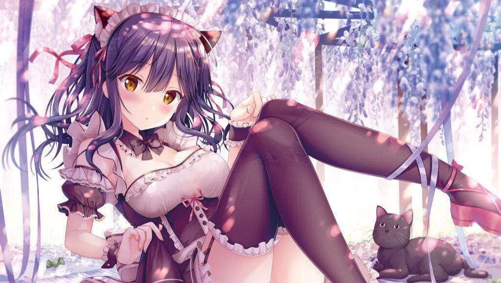 本季新番